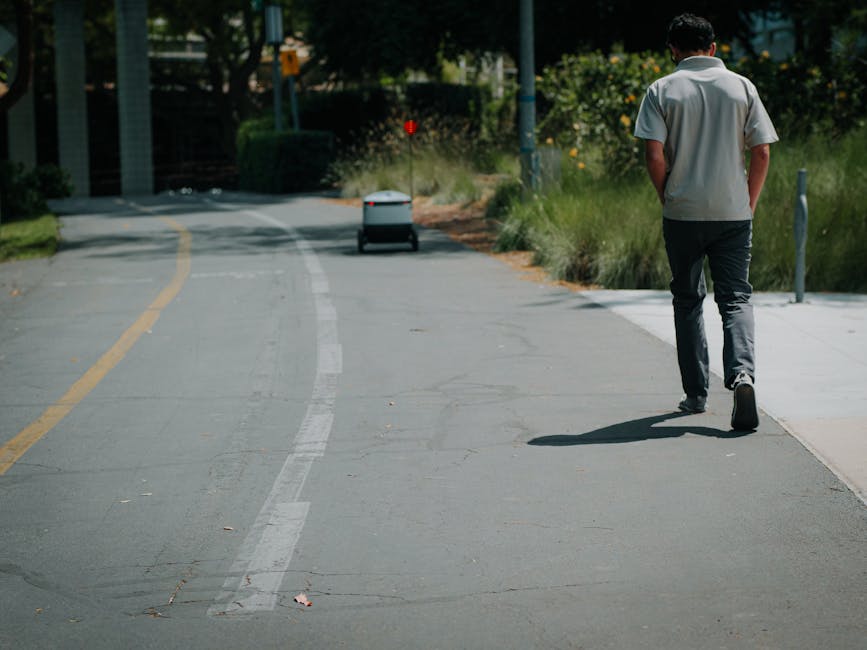 A man walking along a paved pathway in a park-like setting on a sunny day, with lush greenery and flowering bushes on either side. The pathway has yellow and white lines, and a small delivery robot is