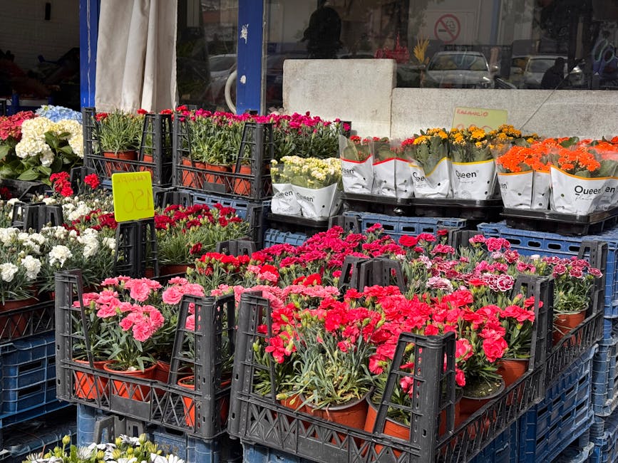 Outside flower shop displaying a variety of vibrant flowering plants arranged in black plastic crates on the pavement, including pink, red, white, orange, and yellow blooms, with some potted flowers w
